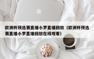 欧洲杯预选赛直播小罗直播回放（欧洲杯预选赛直播小罗直播回放在线观看）