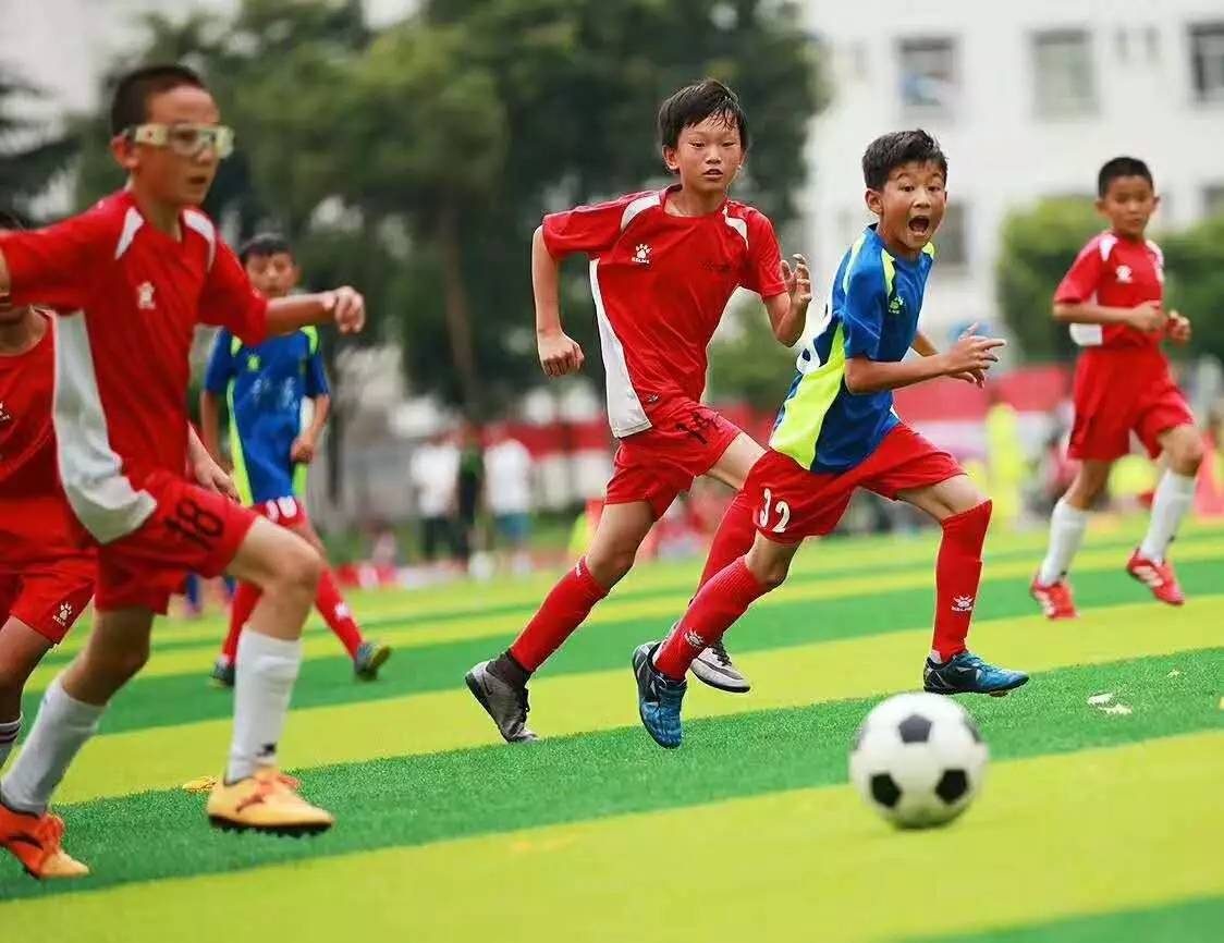 学生会体育部门工作总结怎么写-第1张图片-足球直播_足球免费在线高清直播_足球视频在线观看无插件-24直播网